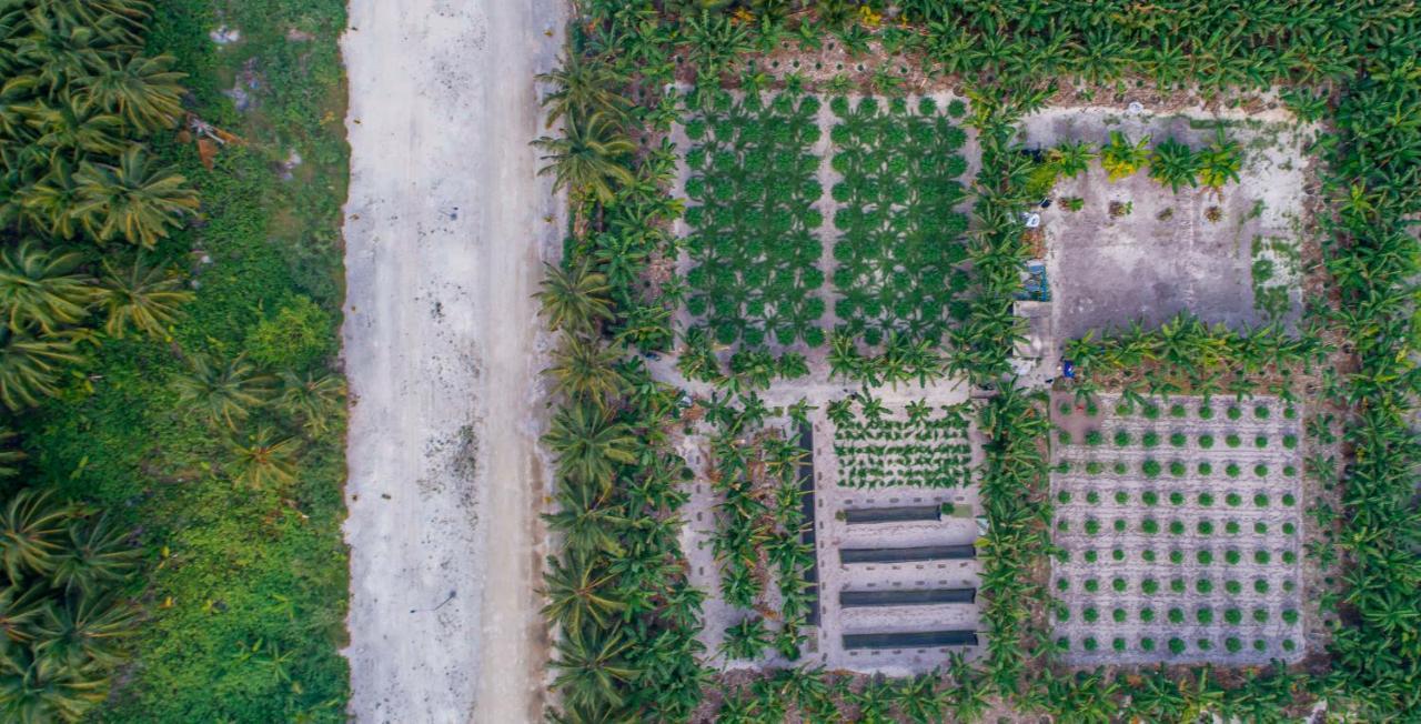 Sunview Residence Kaashidhoo Eksteriør billede