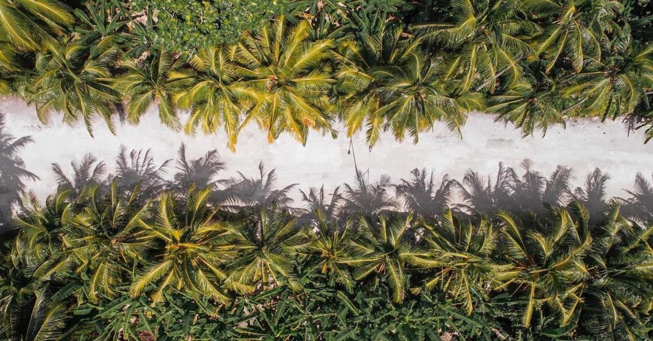 Sunview Residence Kaashidhoo Eksteriør billede